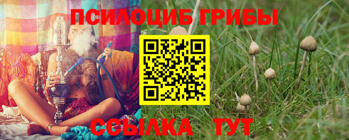 Галлюциногенные грибы ЛСД Спасск-Дальний